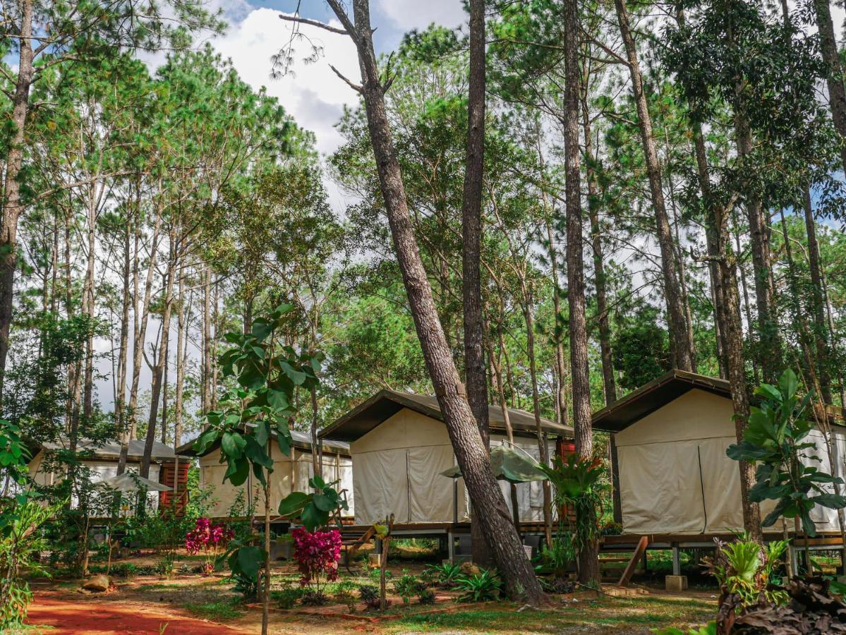 Vkirirom Pine Resort Chambak Dangkom Luaran gambar