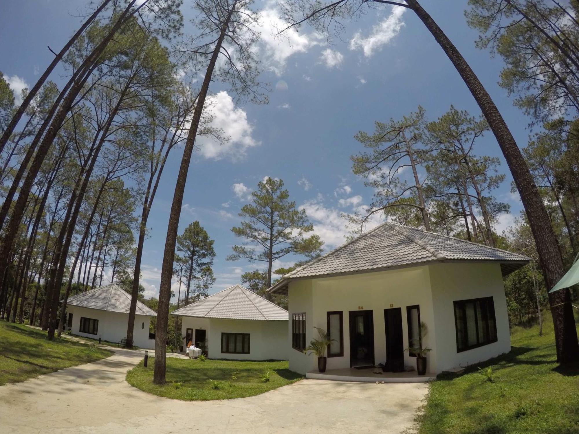 Vkirirom Pine Resort Chambak Dangkom Bilik gambar